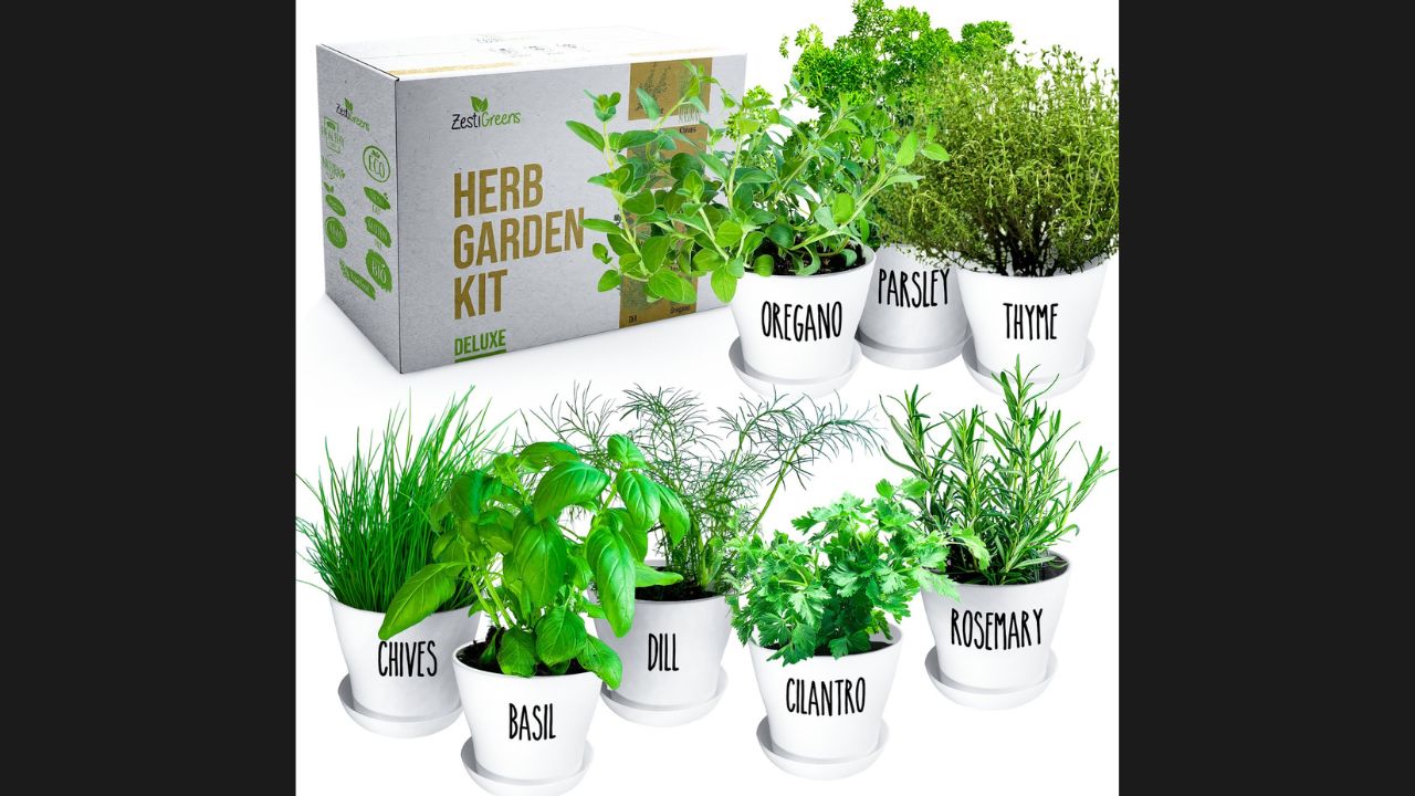 herb grow kit