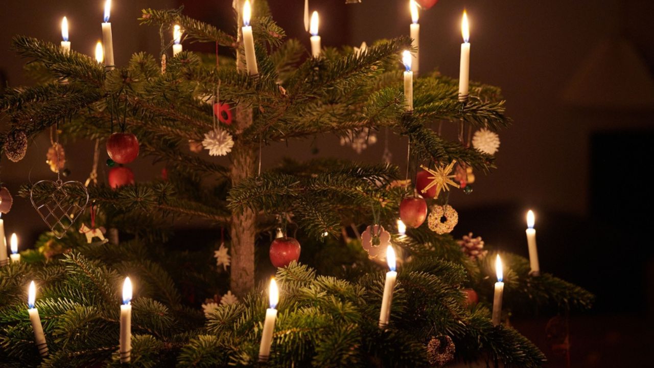 A closeup of a Scandinavian-style Christmas tree decorated with candles and fruits