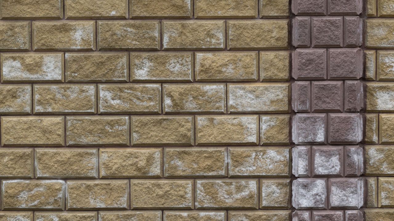 A photo illustrating efflorescence on a brick and block wall. Salt effloresced on the bricks and blocks.