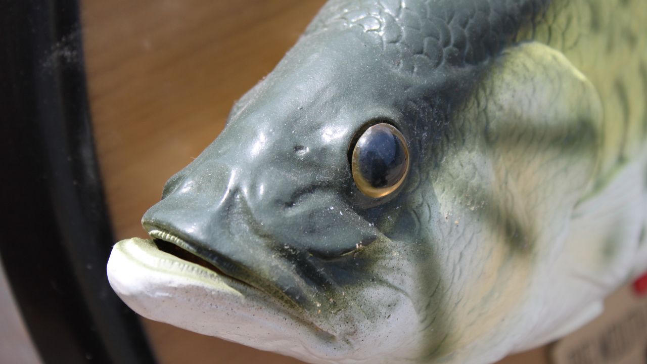 Big Mouth Billy Bass