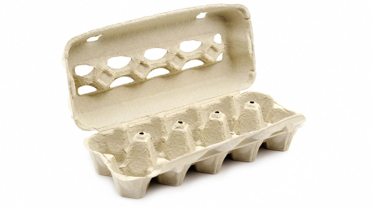 Empty egg carton" for personal and commercial purposes according to the Standard or Extended License.