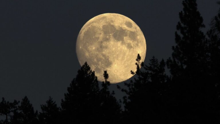 Full moon rising