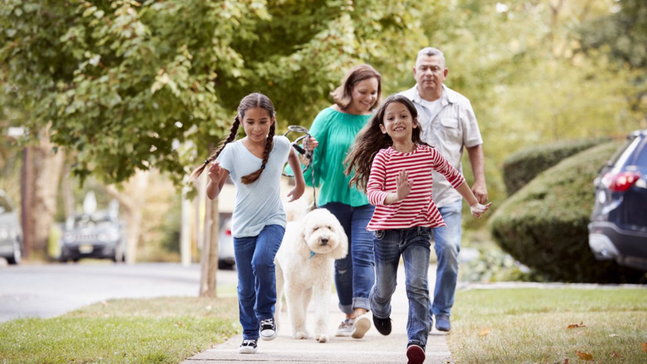 Grandparents And Granddaughters Walking Dog Along Street