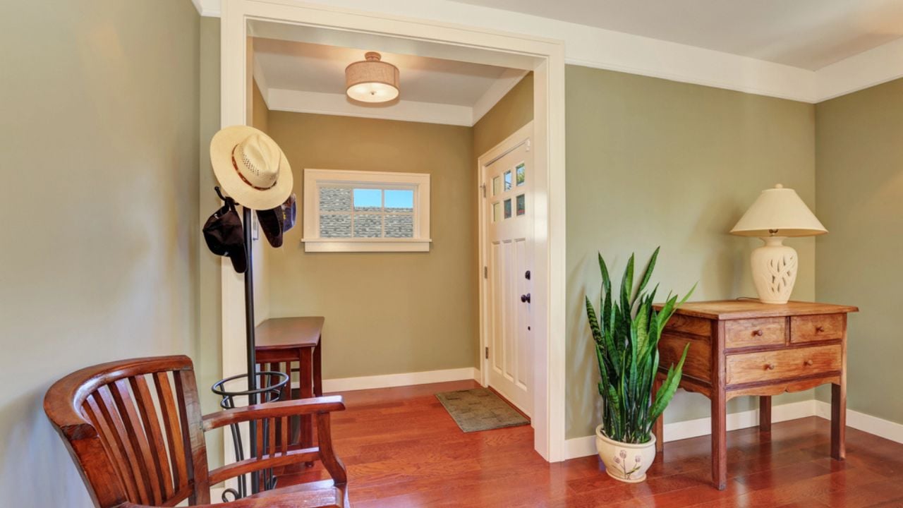 "Hallway interior with olive walls and hardwood floor