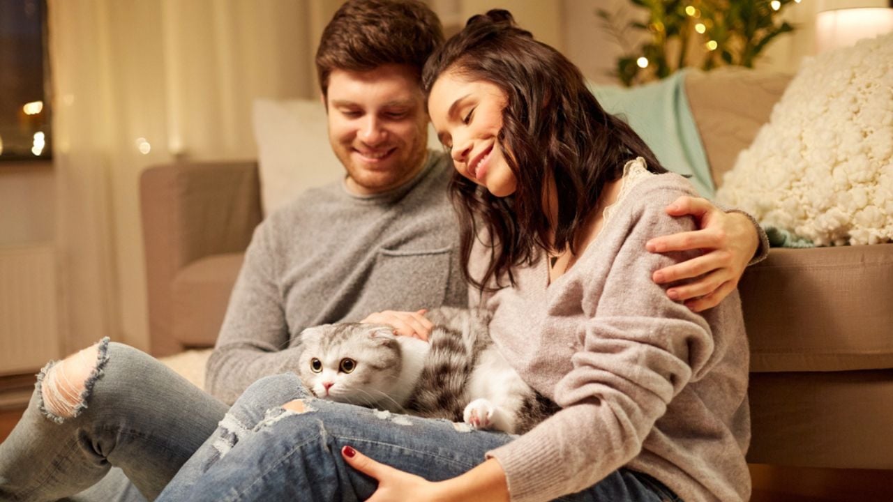 Happy couple with cat at home