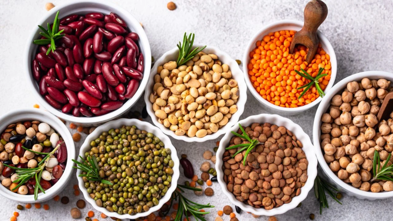 Mix of various legumes. Beans, lentils, soybean, pea and chickpea