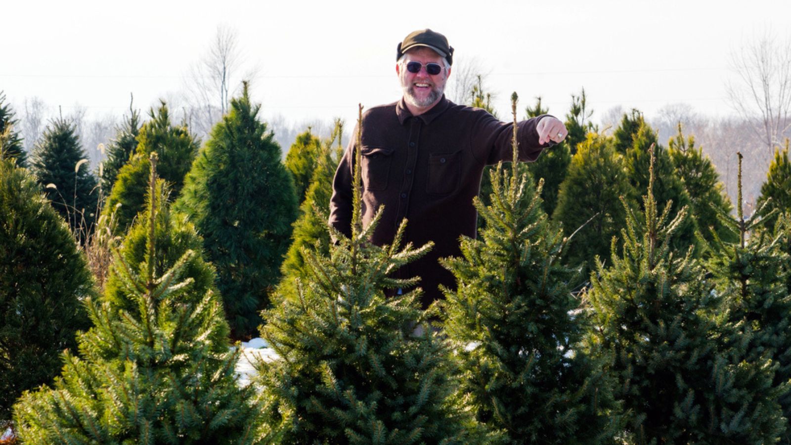 Old Man pointing to the perfect Christmas tree