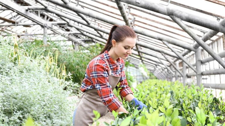 Pretty young gardener looking after decorative plant in greenhouse