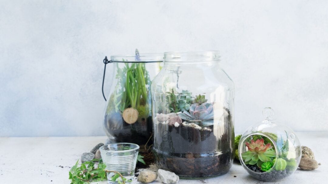 15 Creative And Fun DIY Terrariums