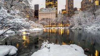 Central Park, New York City during winter snow storm