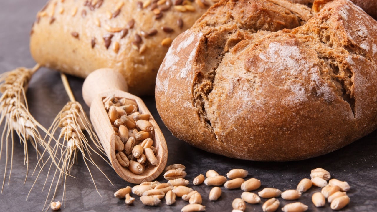 Fresh baked wholegrain rolls with seeds and ears of rye or wheat grain