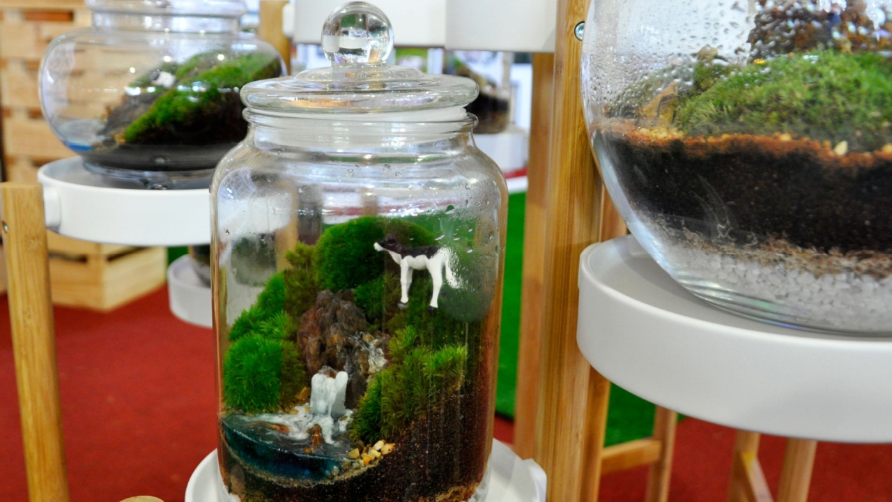 Small plant planted inside the small glass containers. Its called terrarium and bring greenery into indoor space.