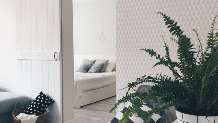 15 Things Designers Have Learned Not to Put in Their Homes