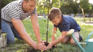 Dad and son planting tree in park on sunny day