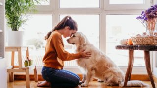 beautiful woman hugging her adorable golden retriever dog at home. love for animals concept. lifestyle indoors