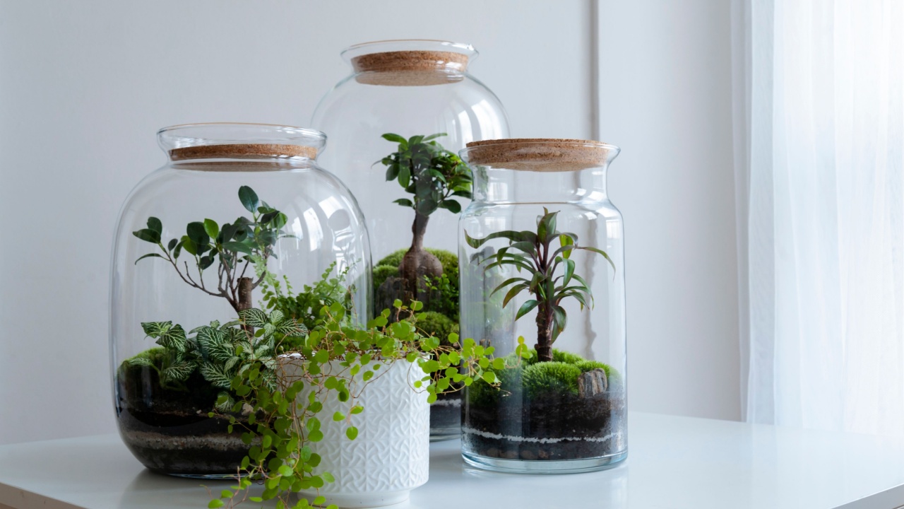 Small decoration plants in a glass bottle/garden terrarium bottle/ forest in a jar. Terrarium jar with piece of forest with self ecosystem in modern interior. Terrarium Miniature Botanical Grow