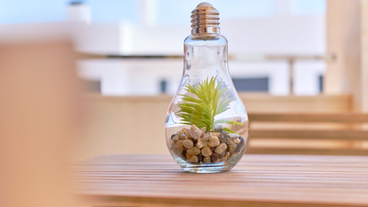Transparent light bulb glass vase with green plant and heap of tiny stones inside on wooden table in terraced area outdoors. Beautiful home decor design element