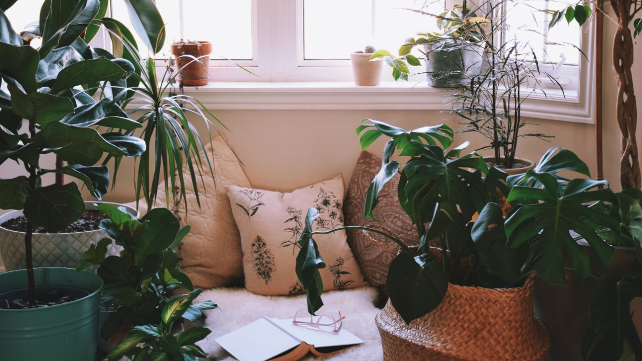 A cozy reading nook on a floor by a large bay window surrounded by tropical houseplants