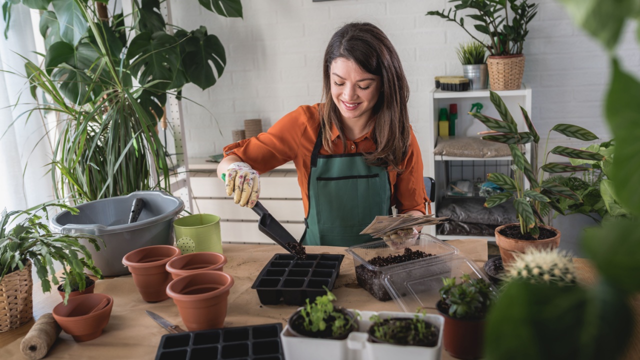 happy young woman enjoys time at her homegarden filling seed trays with potting soil. Seed-starting plants in the winter and early spring.
