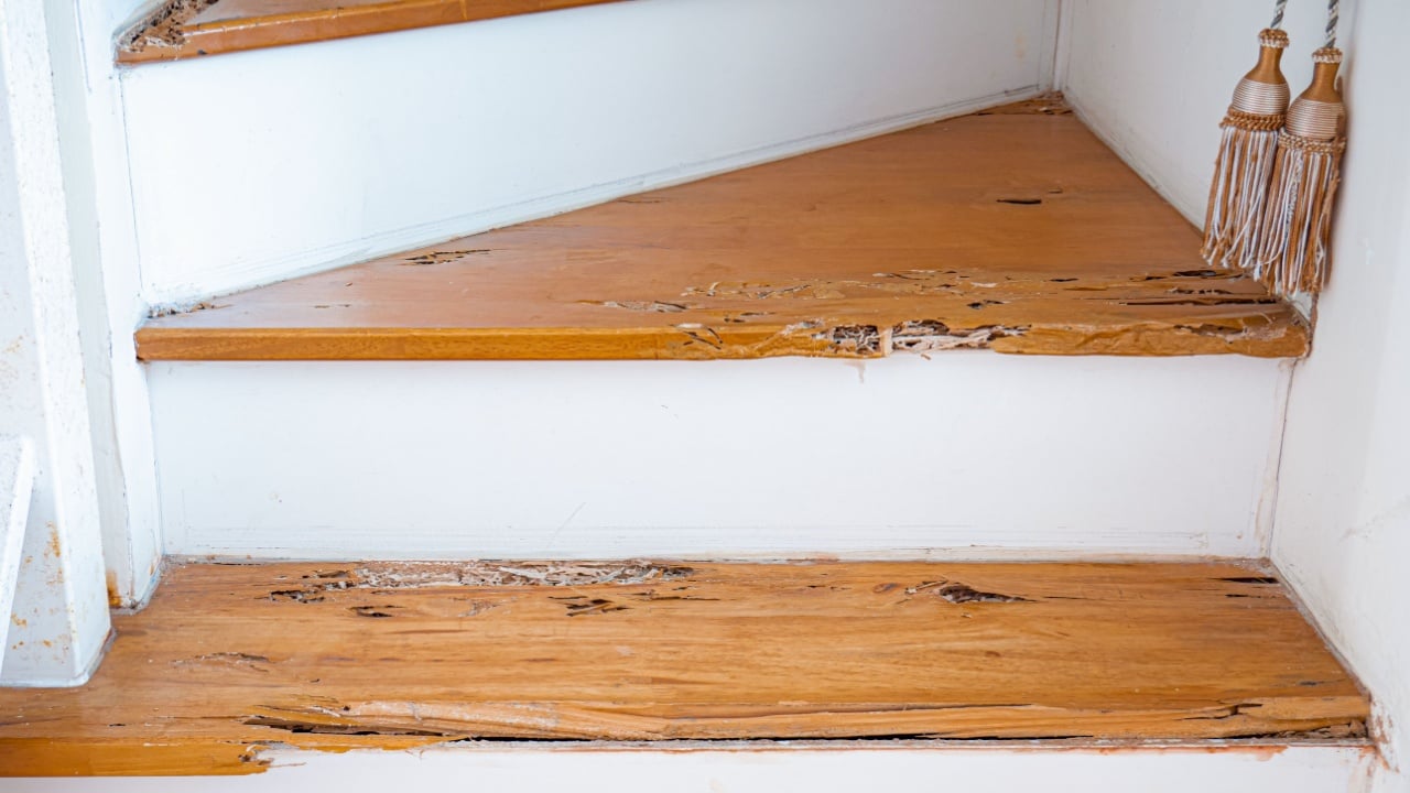 House stairs that were bitten by termites. The wood was broken because it was destroyed by termites.