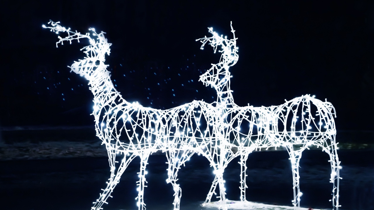 Christmas deer with lights on a black background. New Year decoration of the city.