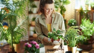 Relaxing home gardening. smiling young housewife in white rubber gloves with potted plant do gardening in the modern house in sunny day.