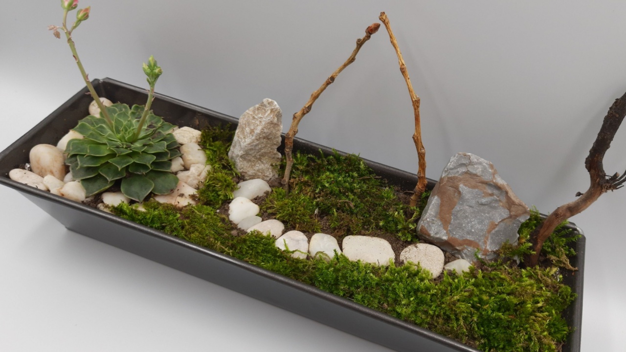 Zen Garden at home or for office. Beautiful miniature garden design with succulent plant, white stones, woods, sand and moss in black pot