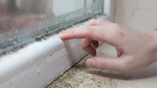 Black mold fungus growing on windowsill. Dampness problem concept. Condensation on the window.