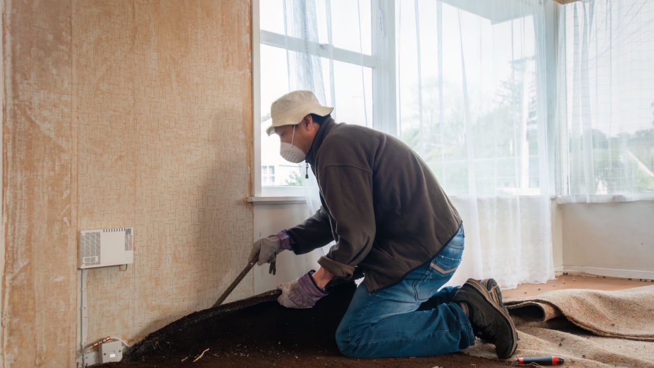 Man using an iron bar to pull up old damaged carpet. Auckland.