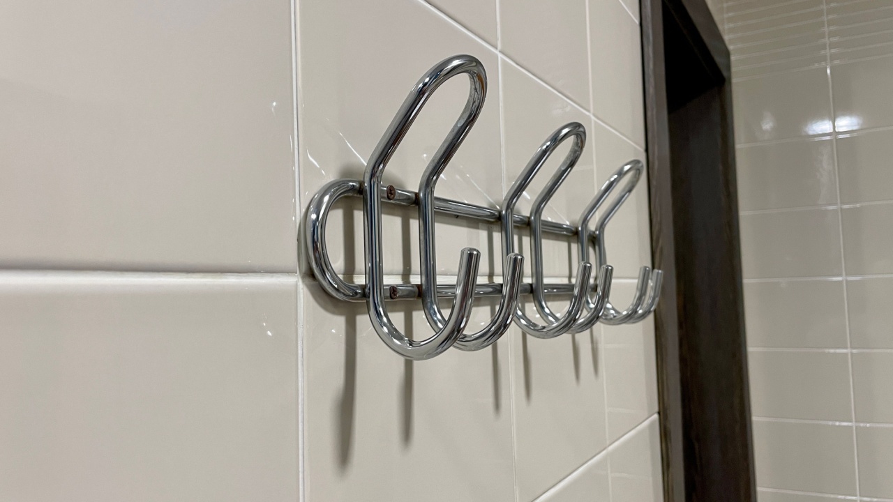 Hooks for towels in the bathroom. Bathroom. Holder for towels.