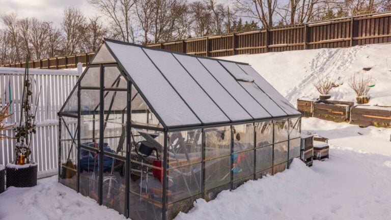 Beautiful winter view of small garden and greenhouse. Gardening concept. Sweden.