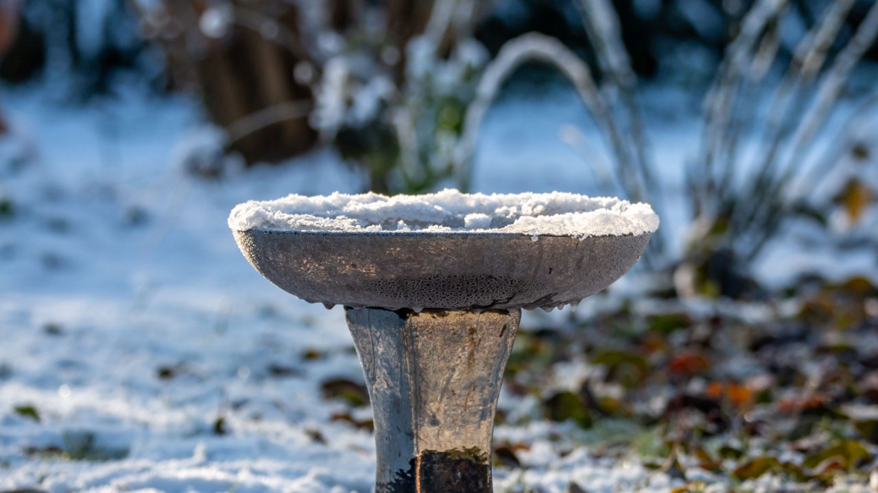 A frozen bird bath in a Sussex garden, on a sunny Winter's day