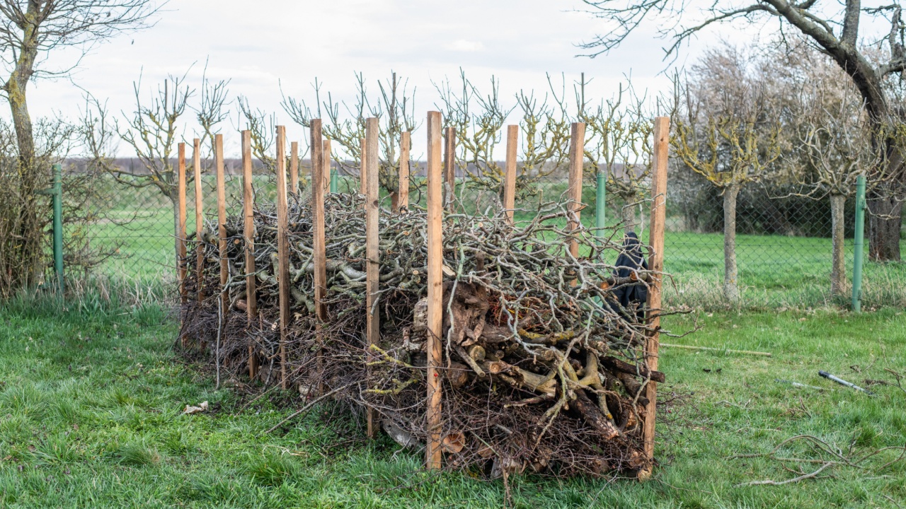 Build your own Benjes hedge from dead wood in the garden