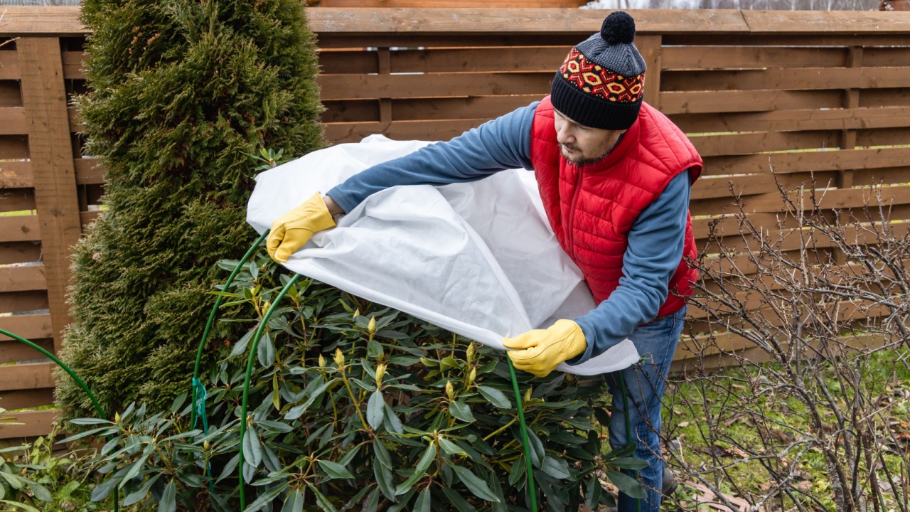 Winter Protection for garden, winter shelter for garden plants, shelter rhododendrons
