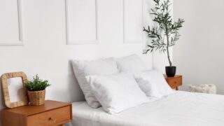Interior of stylish bedroom with cozy bed and olive tree on bedside table