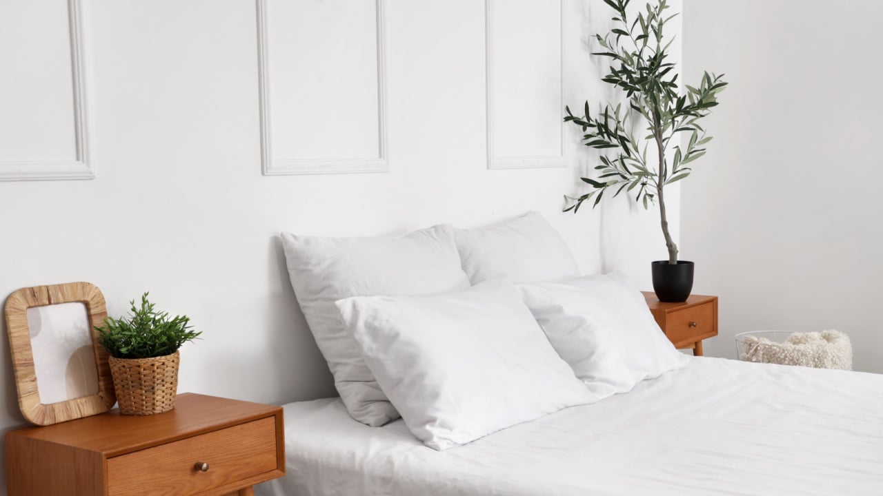 Interior of stylish bedroom with cozy bed and olive tree on bedside table