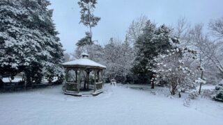 Snow covered gazebo in backyard