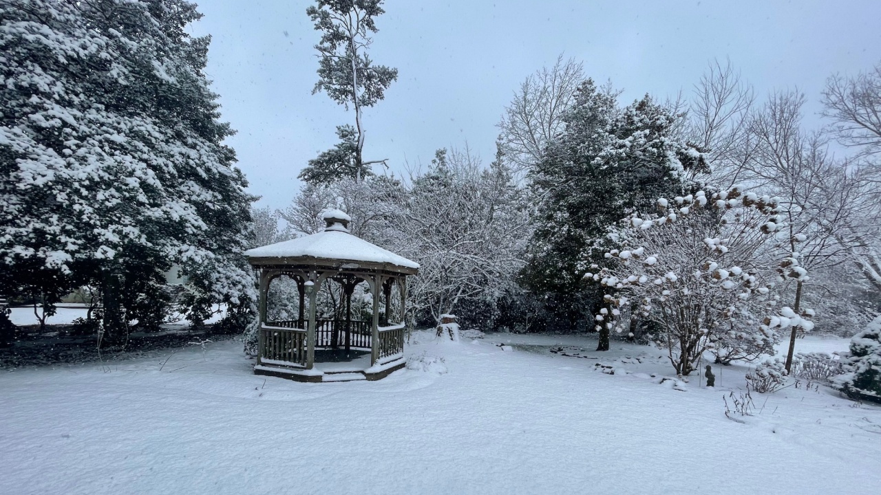Snow covered gazebo in backyard