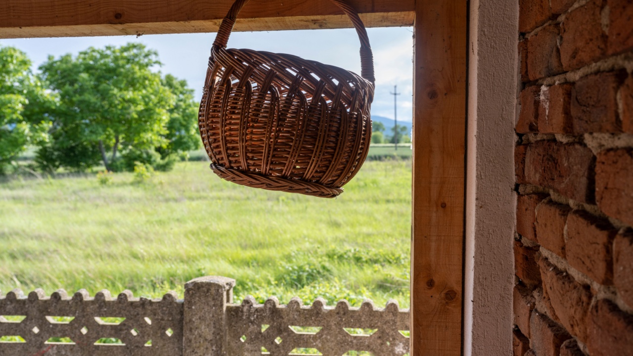 Big wicker basket. The basket is made of vines. Handmade. The sun's rays pass through the basket. The basket is hooked to hang on a nail.