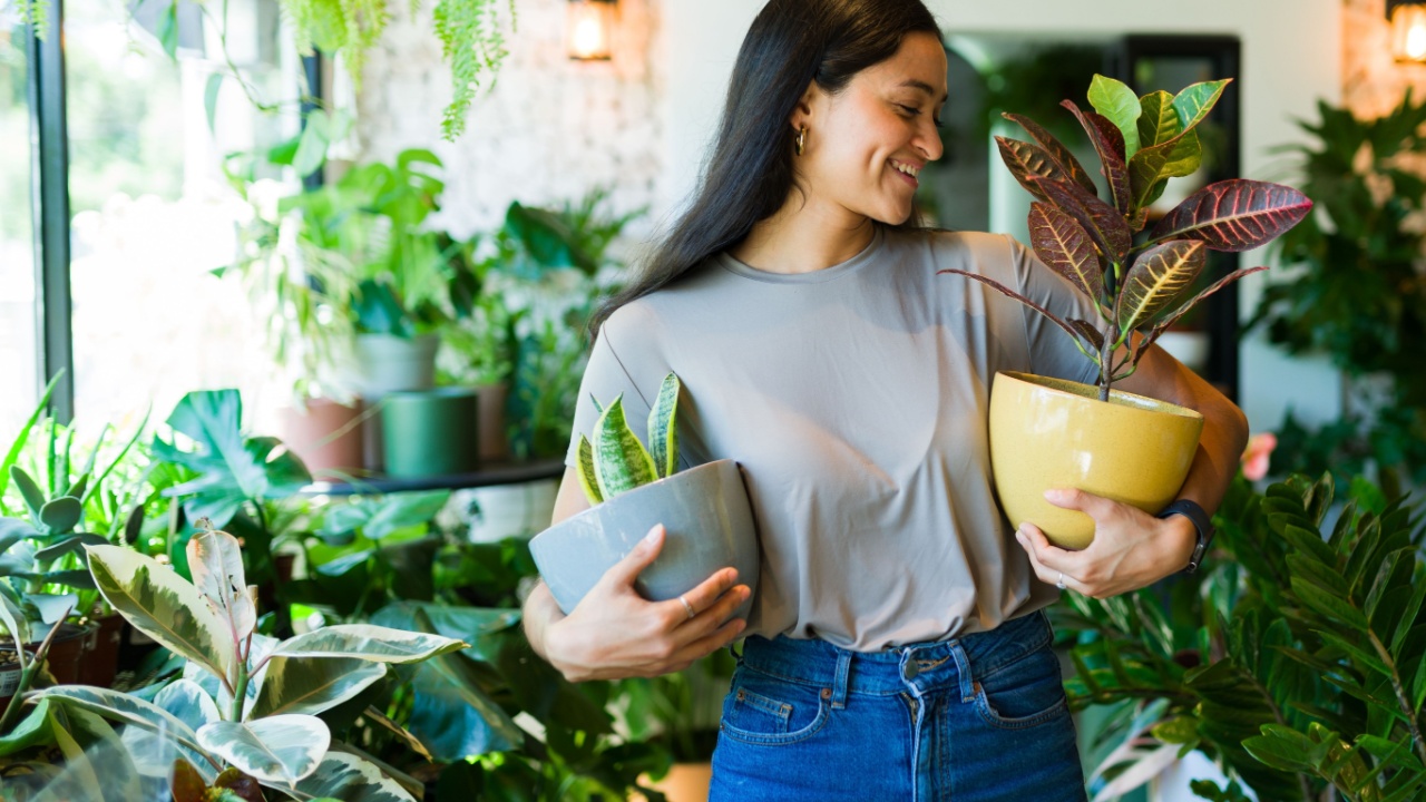 Cheerful woman joyfully browses for plants in a shop, carefully expanding her indoor plant collection with enthusiasm