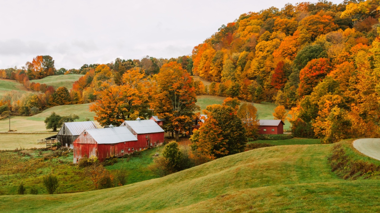 Fall Foliage Farm in Vermont Beautiful Autumn Colors in Vermont, USA. Rolling Hills of Grass, Colorful Trees, Red Barn Rural Small Town New England