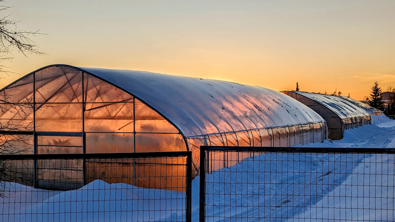 Greenhouses in the sunset at winter