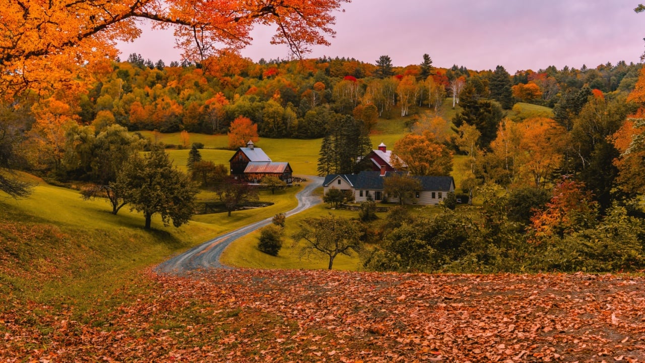 Woodstock, Vermont - October 10, 2021: Fall Foliage Road Covered in Leaves Lead to Sleepy Hallow Farm Vermont's Famous Landmark. Beautiful Sunset