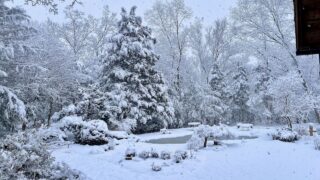 A serene winter scene with snow-covered trees, bushes, and ground. Snow is falling, creating a peaceful atmosphere. Benches and a small swimming pool are visible, adding to the picturesque landscape.