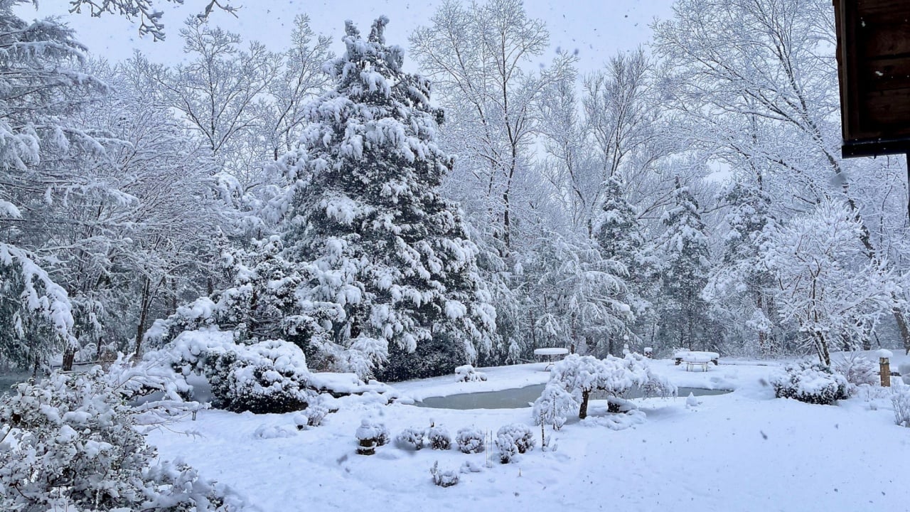 A serene winter scene with snow-covered trees, bushes, and ground. Snow is falling, creating a peaceful atmosphere. Benches and a small swimming pool are visible, adding to the picturesque landscape.