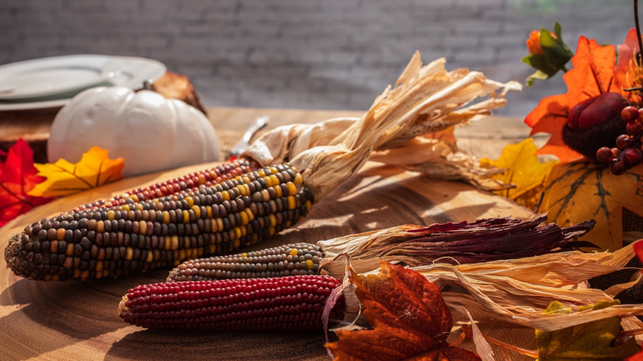 Happy Thanksgiving cornucopia table setting centerpiece decorated with autumn leaves, corn and pumpkin. Copy space.