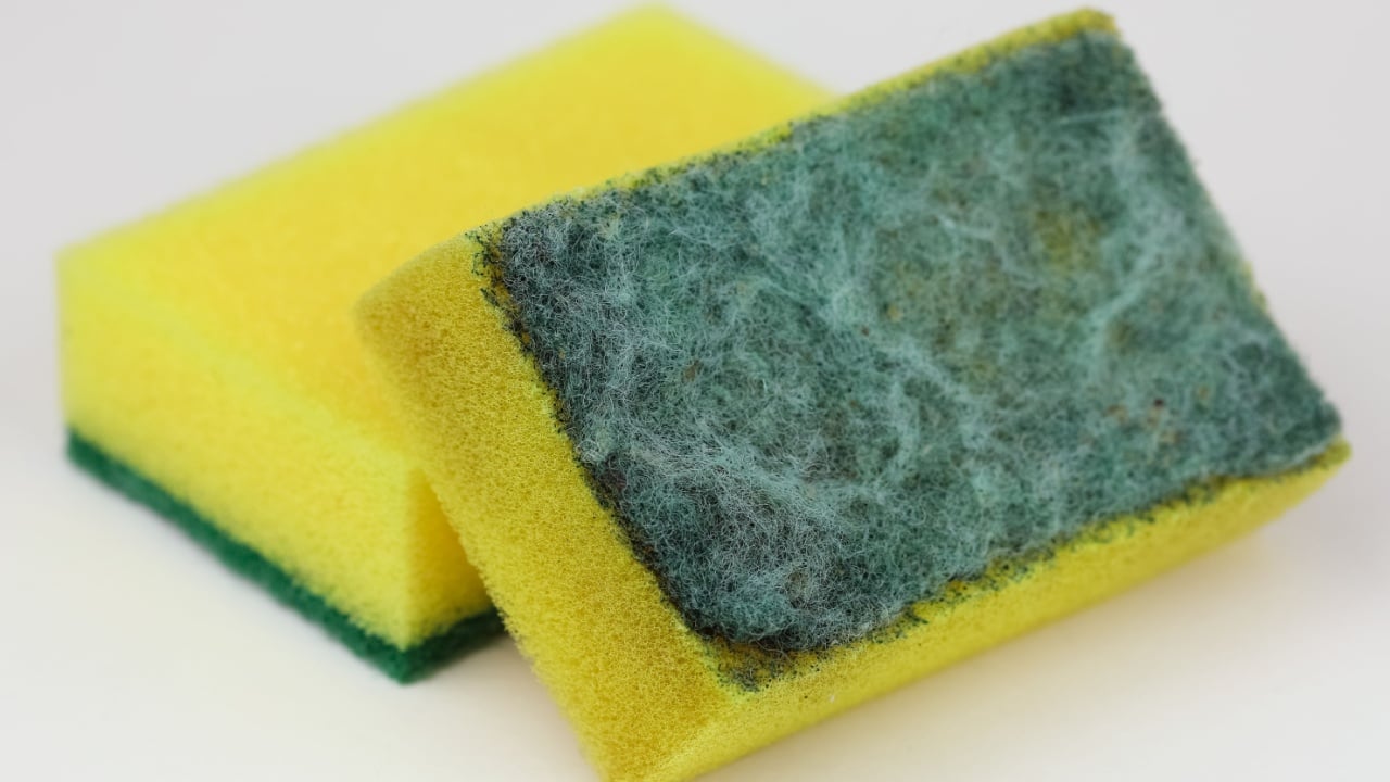 Two sponges for washing up and other household tasks, one is new and the other is used and dirty.