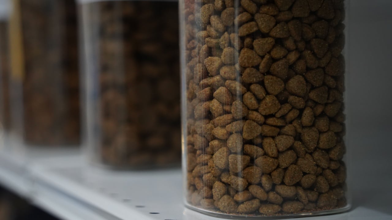 Pellets of dry food in containers. Food for pets.