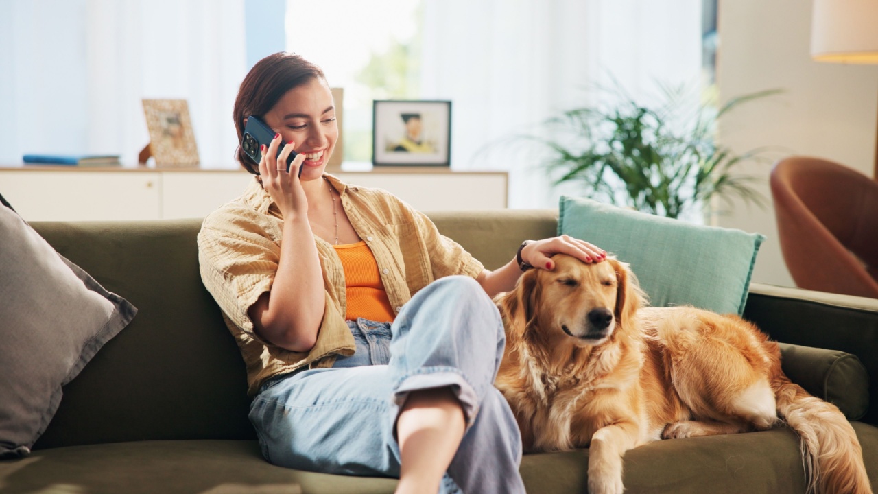 Happy, phone call and woman with dog on sofa for bonding, care and relax together in living room. Chill, pet and person with Golden Retriever on smartphone for chat, social networking and contact