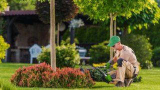 A professional gardener carefully trims vibrant bushes while kneeling beside a tree in a well-maintained backyard filled with greenery.